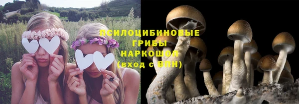 MESCALINE Аркадак
