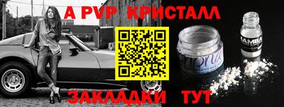 спиды Гатчина