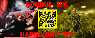 спиды Гатчина
